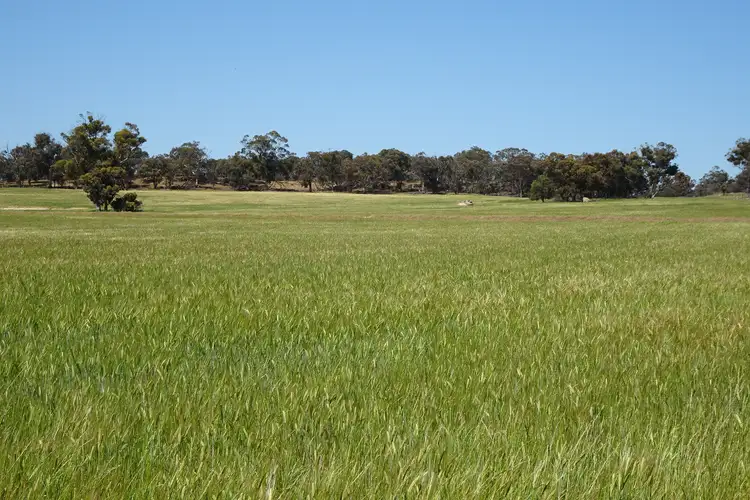 Fourth view of Homely rural property listing, Lullfitz Road, Pingelly WA 6308