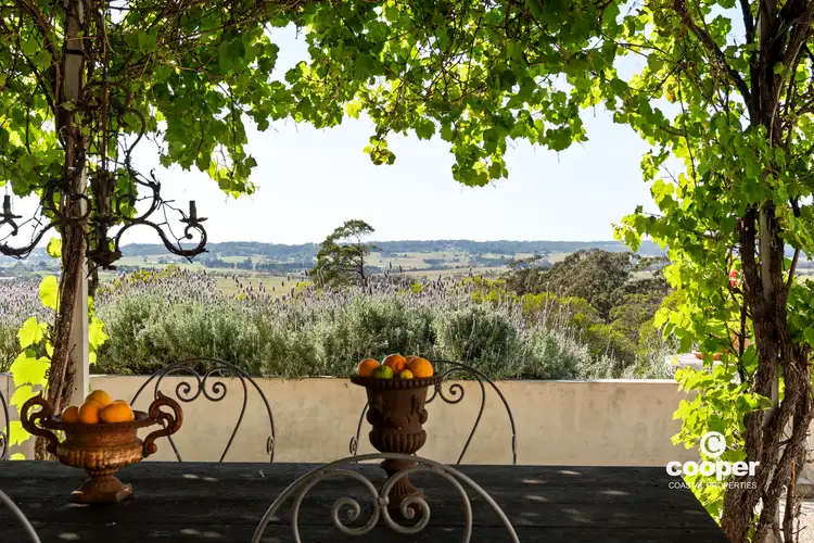 Fifth view of Homely rural property listing, 591E Croobyar Road, Croobyar NSW 2539