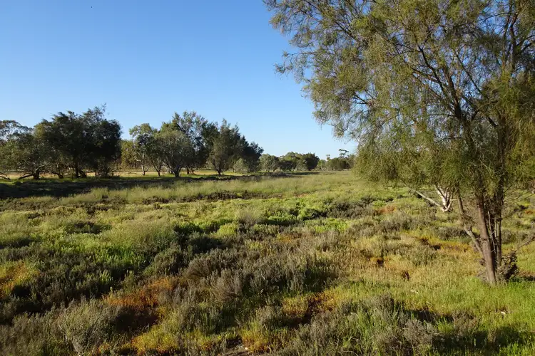 Seventh view of Homely rural property listing, Lot 3815 Calcoran Road, Popanyinning WA 6309