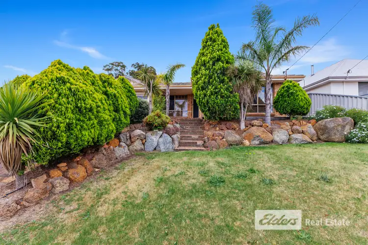 Second view of Homely house listing, 12 Hargreaves Street, Collie WA 6225