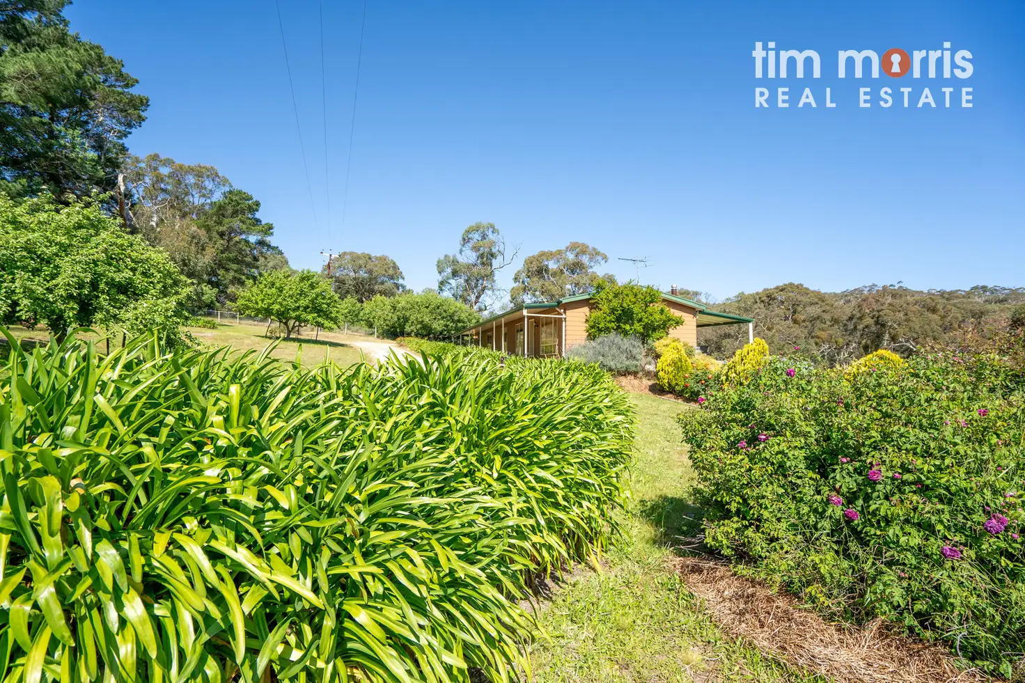 Main view of Homely house listing, 214 Peters Creek Road, Kangarilla SA 5157