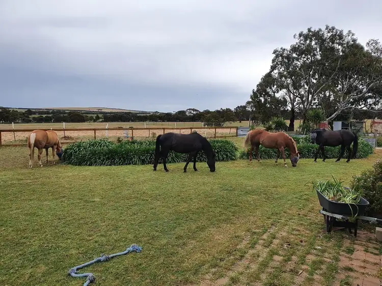 Sixth view of Homely house listing, 127 McFarlane Road, Coomunga SA 5607