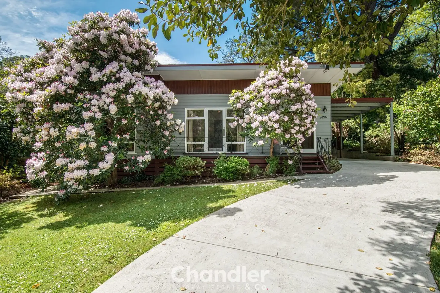 Main view of Homely house listing, 5 Blackwood Street, Tecoma VIC 3160