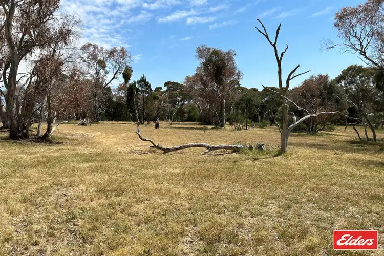 Main view of Homely land listing, Lot 743 Needles Road, Williamstown SA 5351