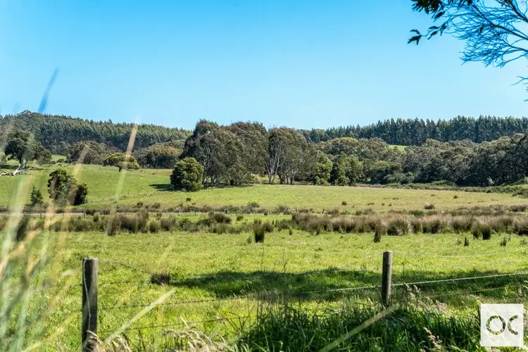 Third view of Homely rural property listing, 255B Yundi Road, Yundi SA 5172