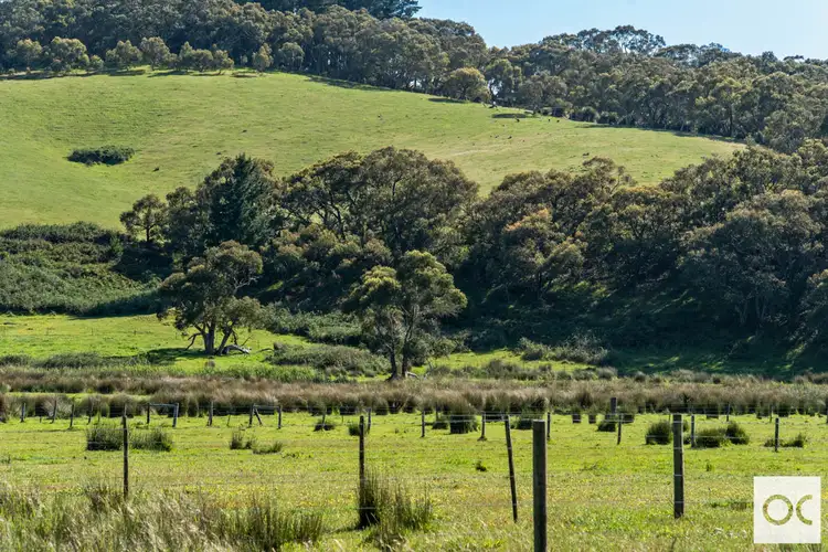 Fifth view of Homely rural property listing, 255B Yundi Road, Yundi SA 5172