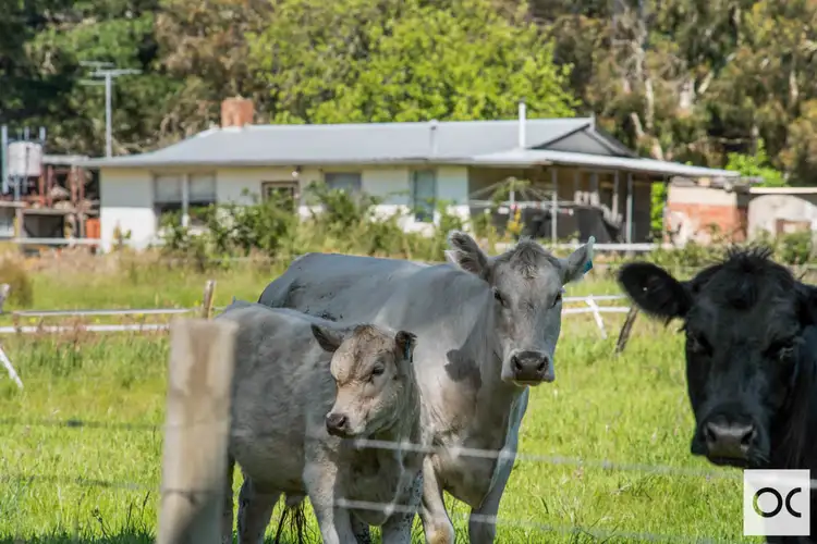 Sixth view of Homely rural property listing, 255B Yundi Road, Yundi SA 5172