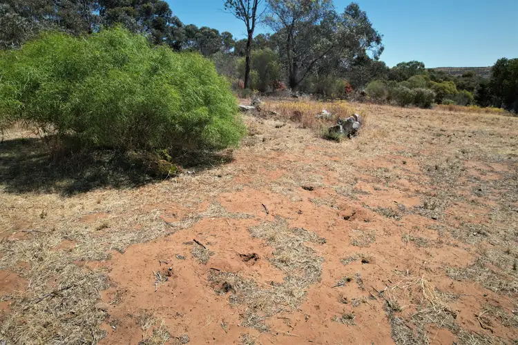 Sixth view of Homely land listing, Lot 74 Perseverance Court, Younghusband SA 5238