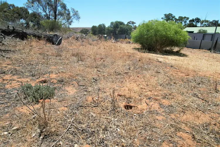 Seventh view of Homely land listing, Lot 74 Perseverance Court, Younghusband SA 5238