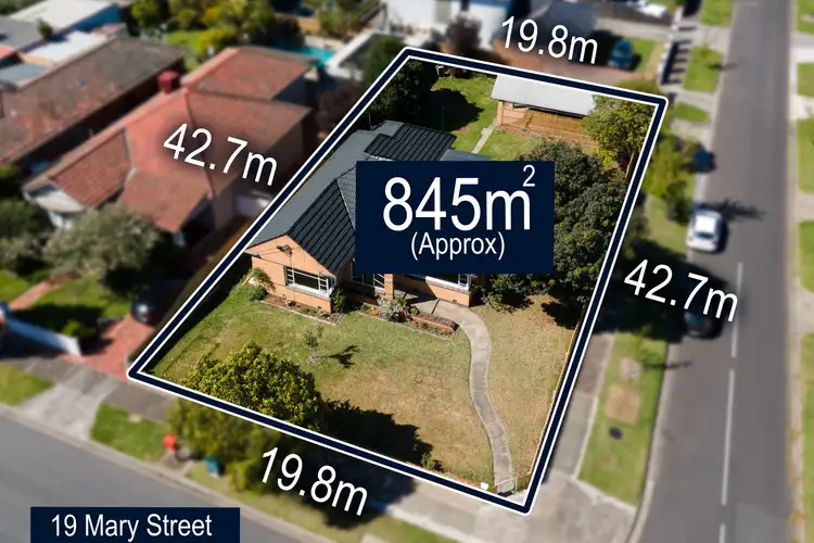 Second view of Homely house listing, 19 Mary Street, Essendon VIC 3040
