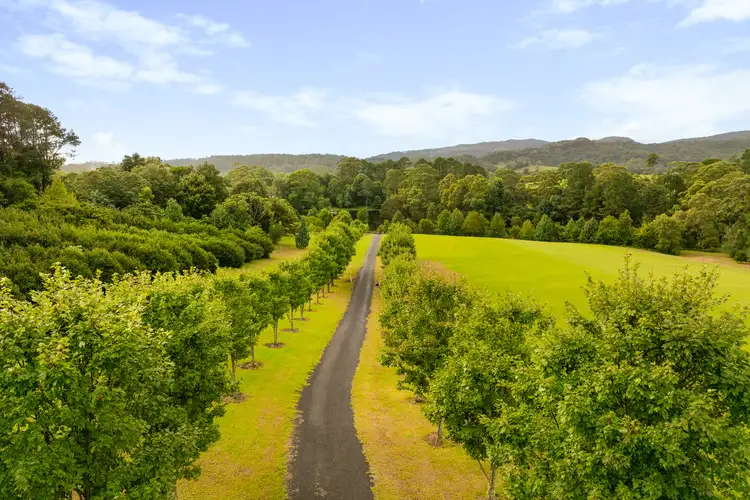 Fourth view of Homely house listing, 17 Lyrebird Ridge Road, Springbrook QLD 4213