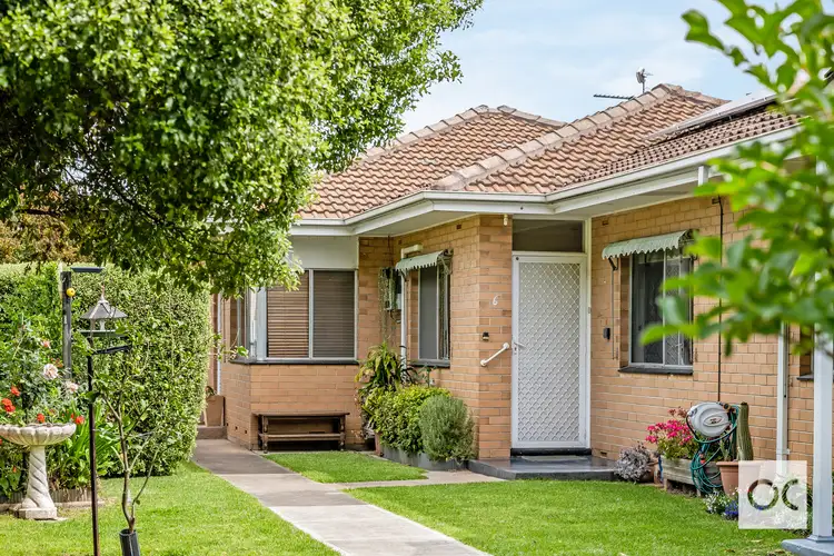 Main view of Homely unit listing, 6/7 Edward Street, Daw Park SA 5041