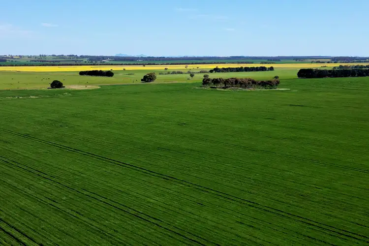 Main view of Homely rural property listing, Woorndoo-Darlington Road, Woorndoo VIC 3272