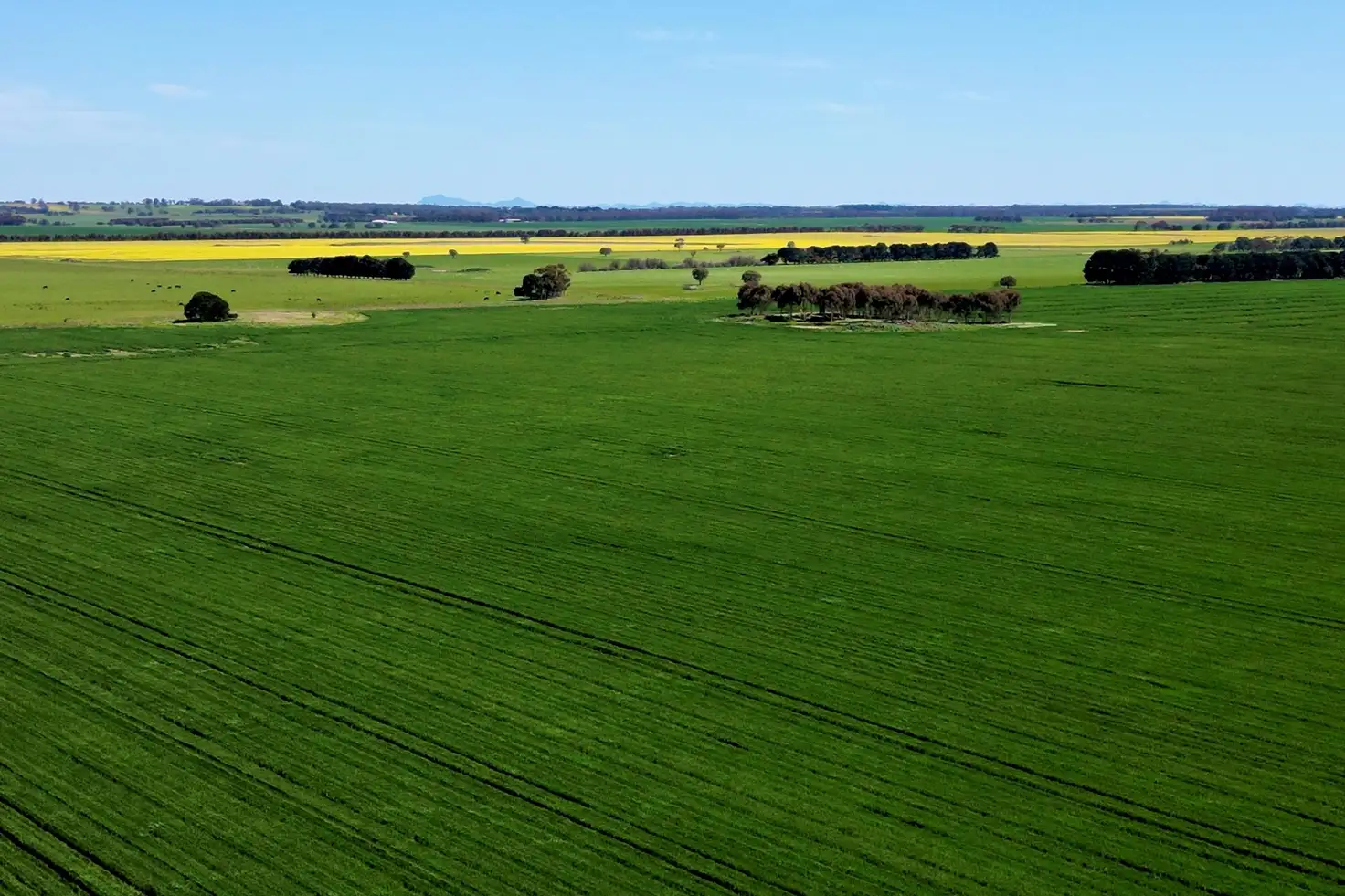 Main view of Homely rural property listing, Woorndoo-Darlington Road, Woorndoo VIC 3272