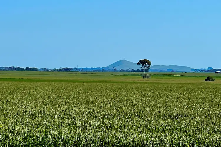 Second view of Homely rural property listing, Woorndoo-Darlington Road, Woorndoo VIC 3272
