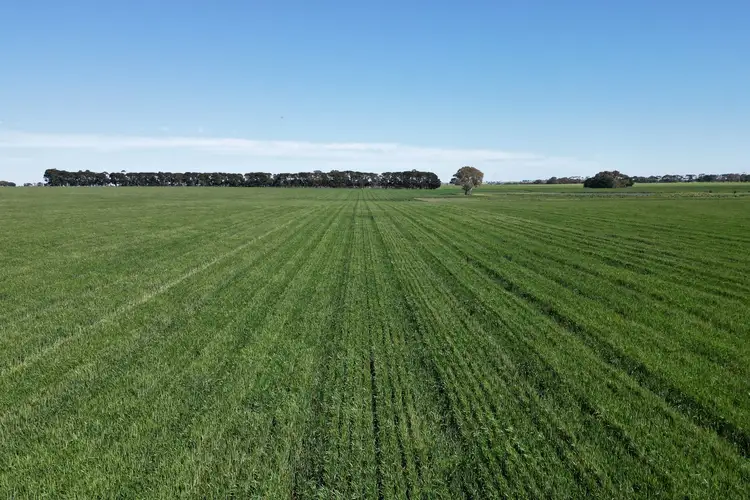Fifth view of Homely rural property listing, Woorndoo-Darlington Road, Woorndoo VIC 3272