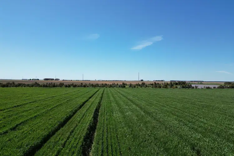 Sixth view of Homely rural property listing, Woorndoo-Darlington Road, Woorndoo VIC 3272