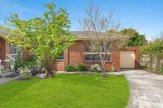 3/648 Blackburn Road