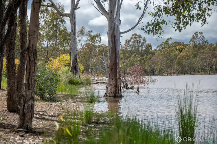 650 Gellibrand Tonks Road, Earlston VIC 3669