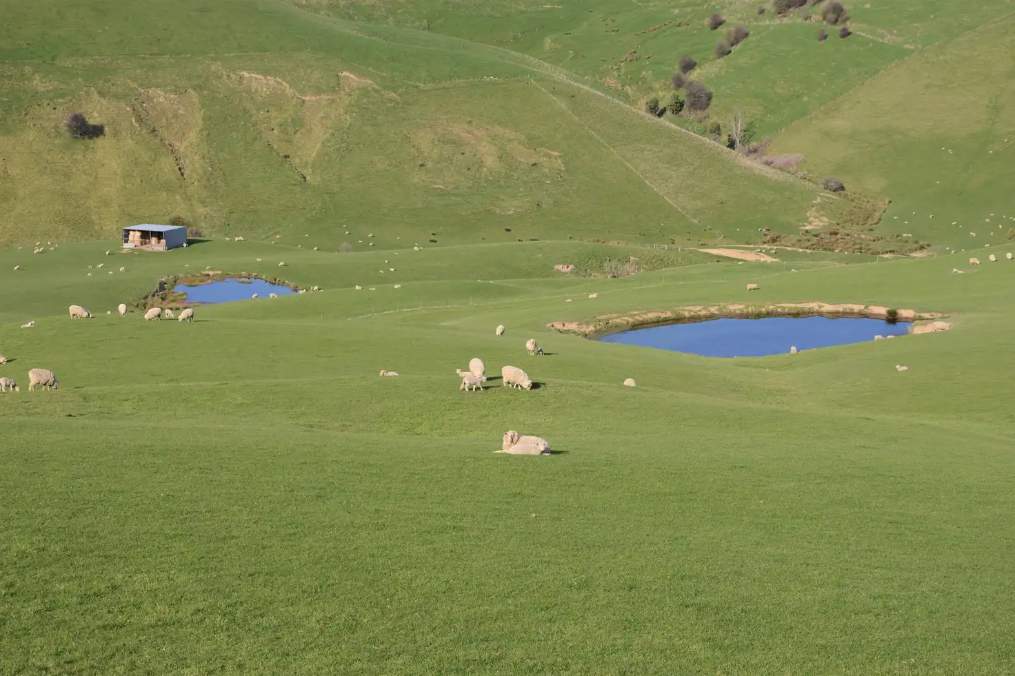 Main view of Homely rural property listing, 135A Baker Road, Krowera VIC 3945