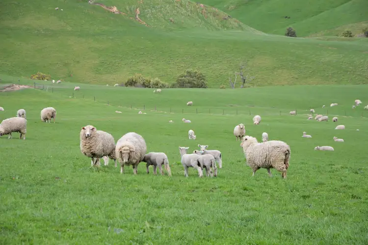 Second view of Homely rural property listing, 135A Baker Road, Krowera VIC 3945