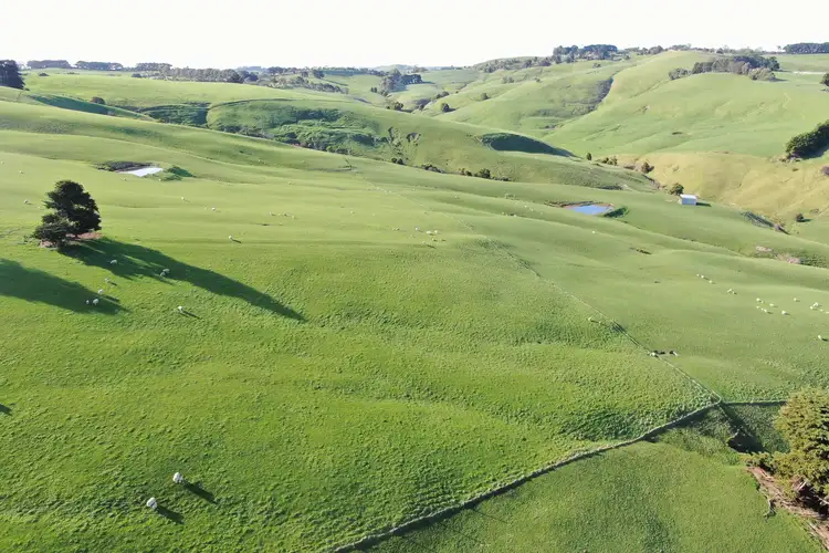 Seventh view of Homely rural property listing, 135A Baker Road, Krowera VIC 3945