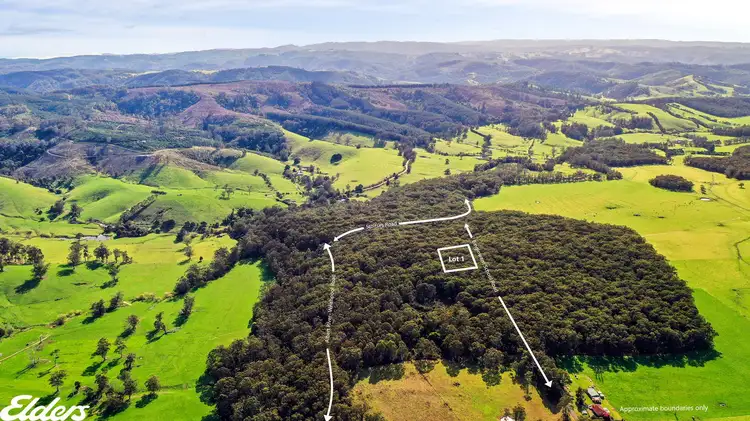 Main view of Homely rural property listing, LOT 1 Albert River-Welshpool Road, Binginwarri VIC 3966