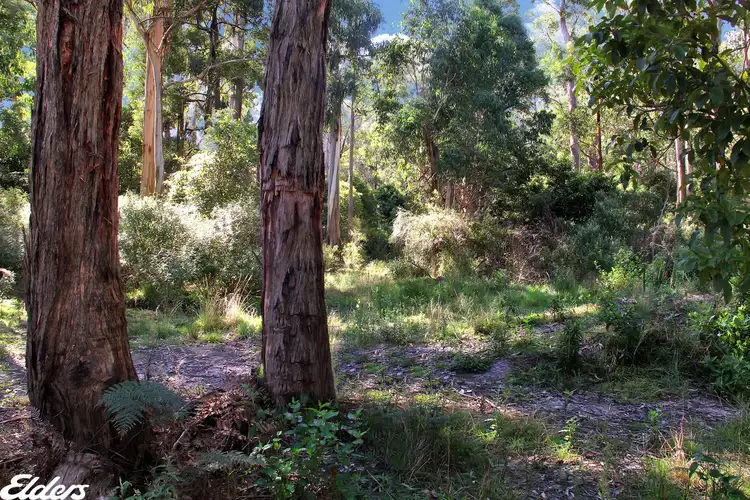 Second view of Homely rural property listing, LOT 1 Albert River-Welshpool Road, Binginwarri VIC 3966