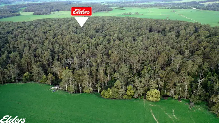 Third view of Homely rural property listing, LOT 1 Albert River-Welshpool Road, Binginwarri VIC 3966