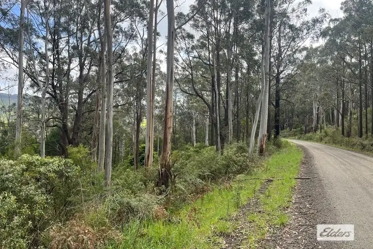 Second view of Homely rural property listing, LOT 2 Albert River-Welshpool Road, Binginwarri VIC 3966