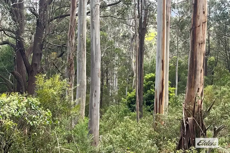 Third view of Homely rural property listing, LOT 2 Albert River-Welshpool Road, Binginwarri VIC 3966