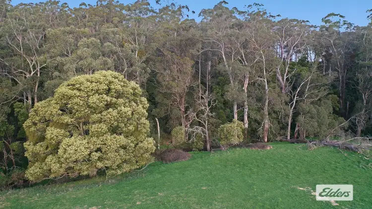 Fourth view of Homely rural property listing, LOT 2 Albert River-Welshpool Road, Binginwarri VIC 3966