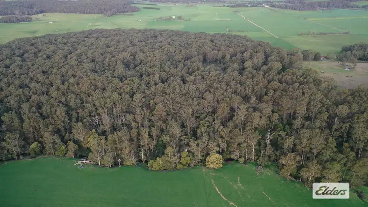 Fifth view of Homely rural property listing, LOT 2 Albert River-Welshpool Road, Binginwarri VIC 3966