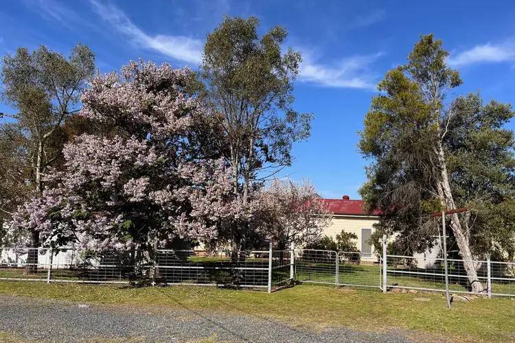 Second view of Homely rural property listing, 133 Port Macquarie Road, Rylstone NSW 2849