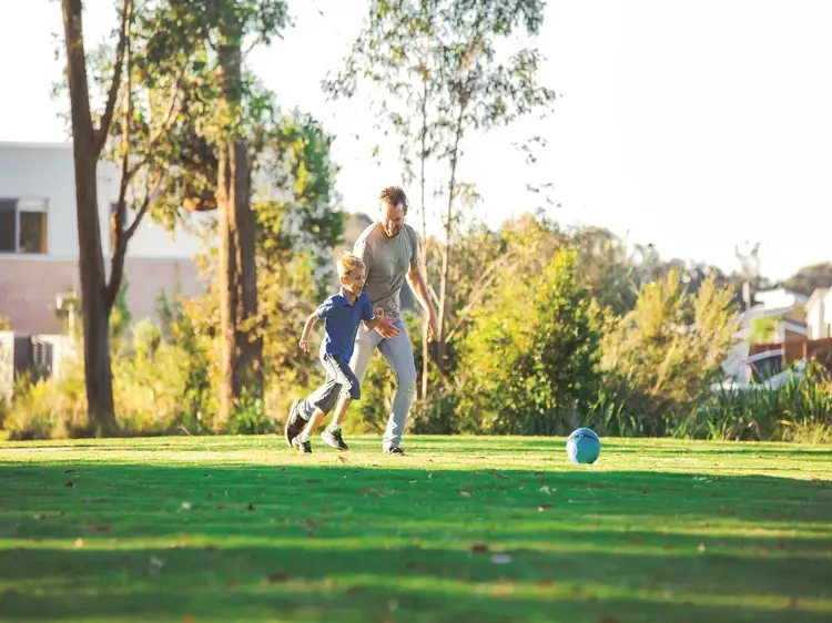 Third view of Homely house listing, 11 Harvey Lane, Meridan Plains QLD 4551