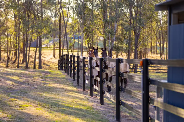 700 Cut Hill Road, Cobbitty NSW 2570