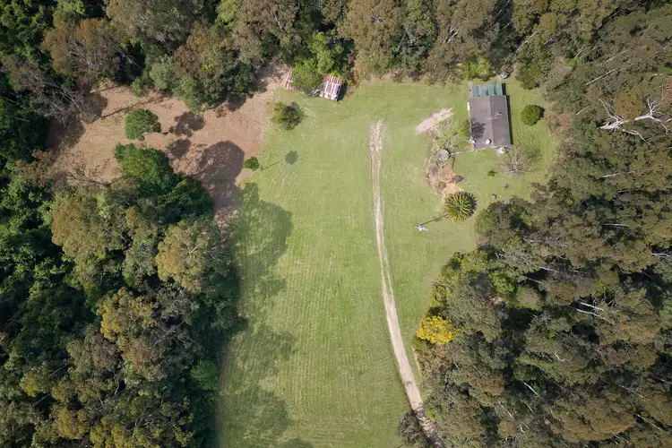Main view of Homely rural property listing, 11 Platypus Creek Lane, Palm Grove NSW 2258