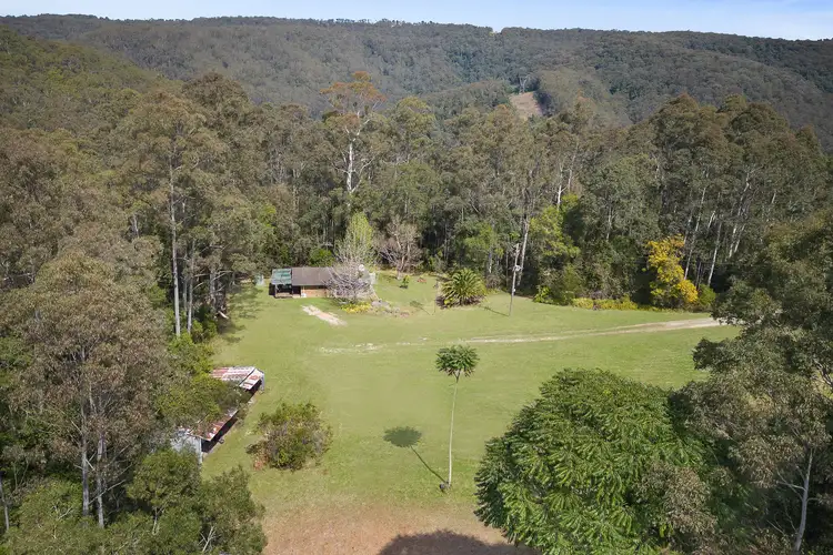 Third view of Homely rural property listing, 11 Platypus Creek Lane, Palm Grove NSW 2258