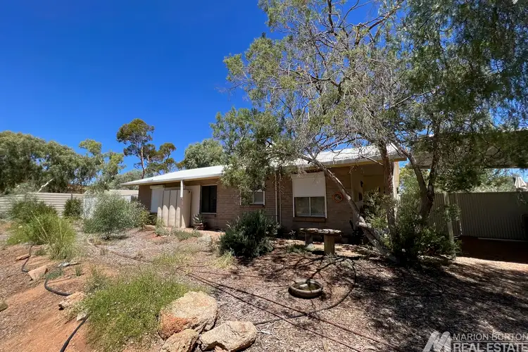 Main view of Homely house listing, 114 Kurrajong Drive, East Side NT 870
