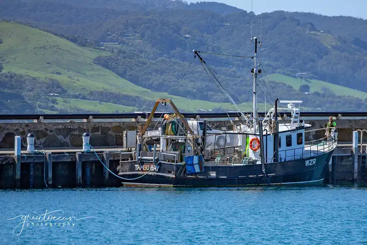 Sixth view of Homely land listing, 46 Cawood Street, Apollo Bay VIC 3233