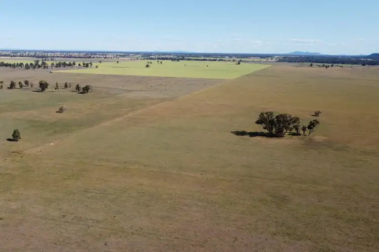 Fifth view of Homely rural property listing, 1466 Yarrabandai Road, Forbes NSW 2871