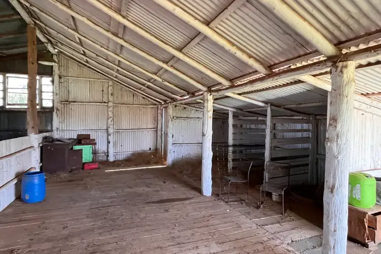 Seventh view of Homely rural property listing, 1466 Yarrabandai Road, Forbes NSW 2871