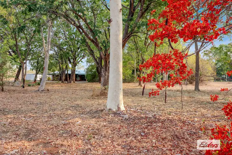 Fifth view of Homely rural property listing, 119 Zimin Drive, Katherine NT 850