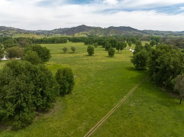 Main view of Homely rural property listing, 194 Quidong Road, Gundagai NSW 2722