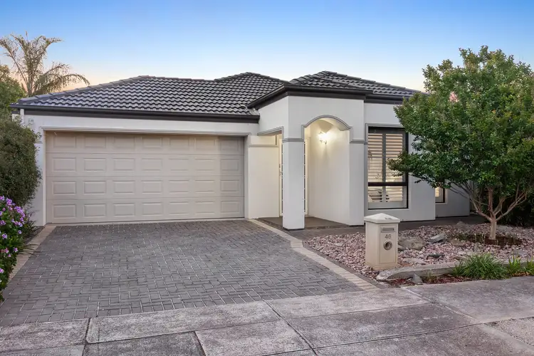 Main view of Homely house listing, 46 Warwick Avenue, Kurralta Park SA 5037