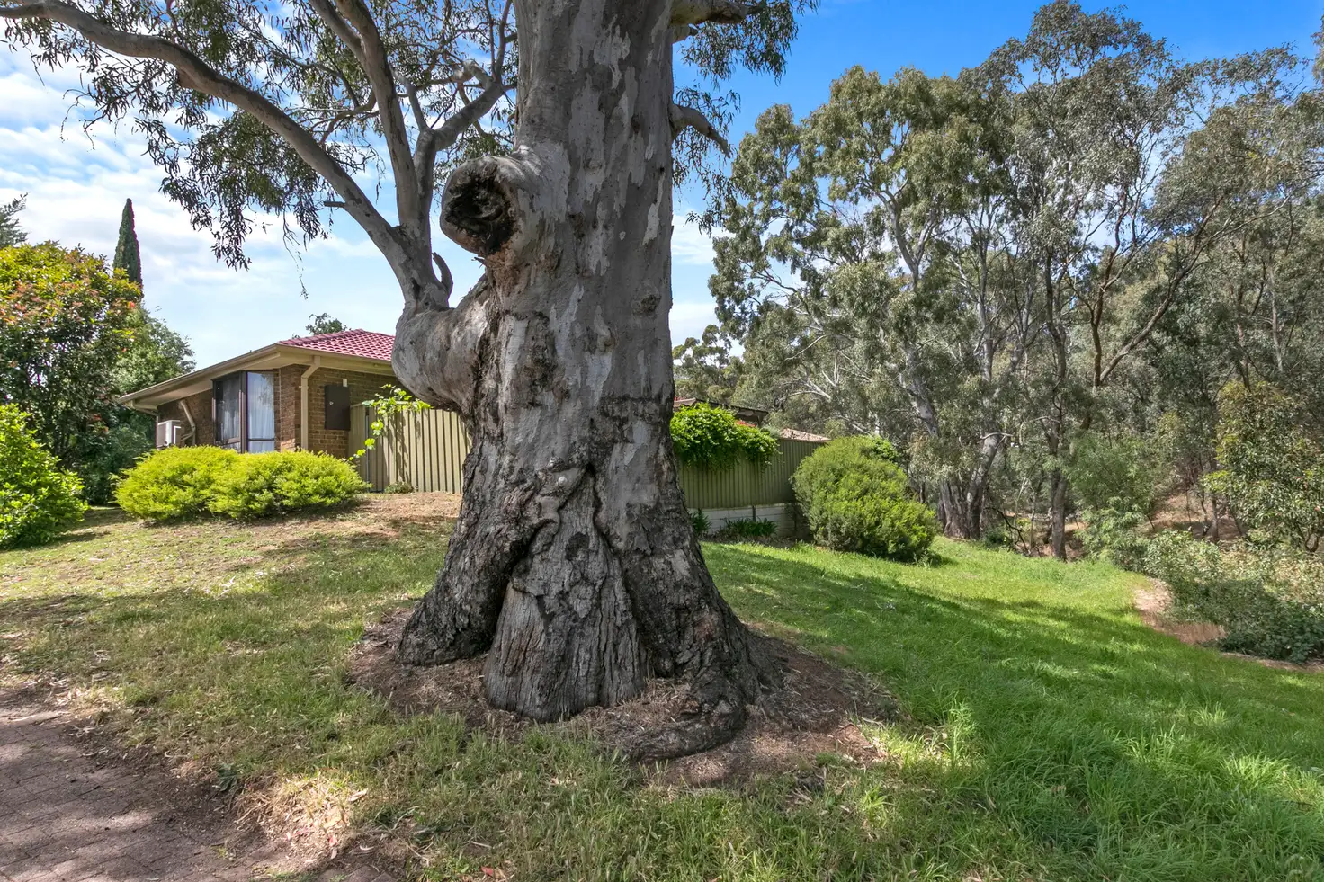 Main view of Homely house listing, 20 Homestead Drive, Aberfoyle Park SA 5159