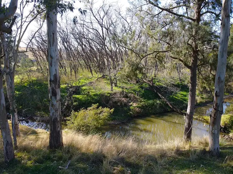 Fourth view of Homely rural property listing, Lot D/654 Wallarobba-Brookfield Road, Dungog NSW 2420