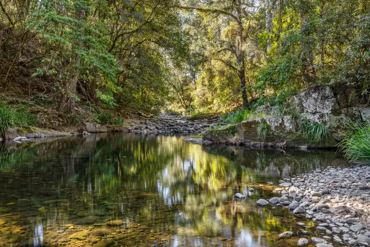 Fourth view of Homely rural property listing, 3780 Allyn River Road, East Gresford NSW 2311