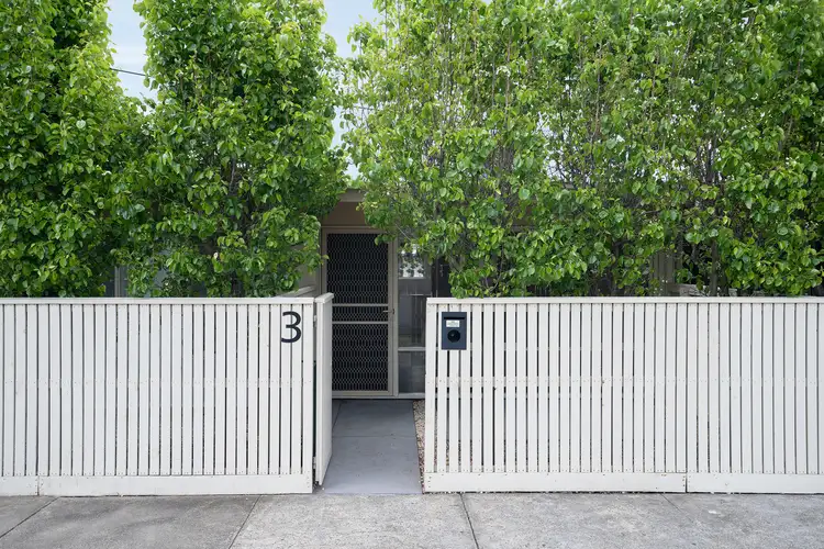 3/45 Francis Street, Belmont VIC 3216