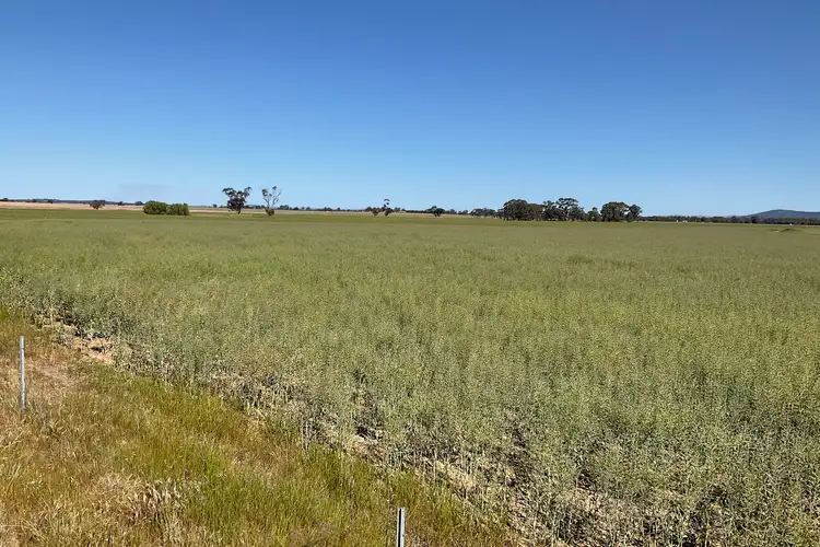 Sixth view of Homely rural property listing, Address available on request